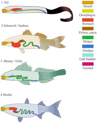  Kleinotrema! Uma Verme Ativa que Habita os Intestinos de Peixes com uma Estratégia de Vida Incrivelmente Complexa